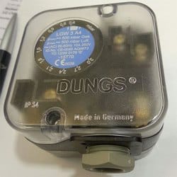 WhatsApp Image 2021-10-12 at 12.53.08 PM